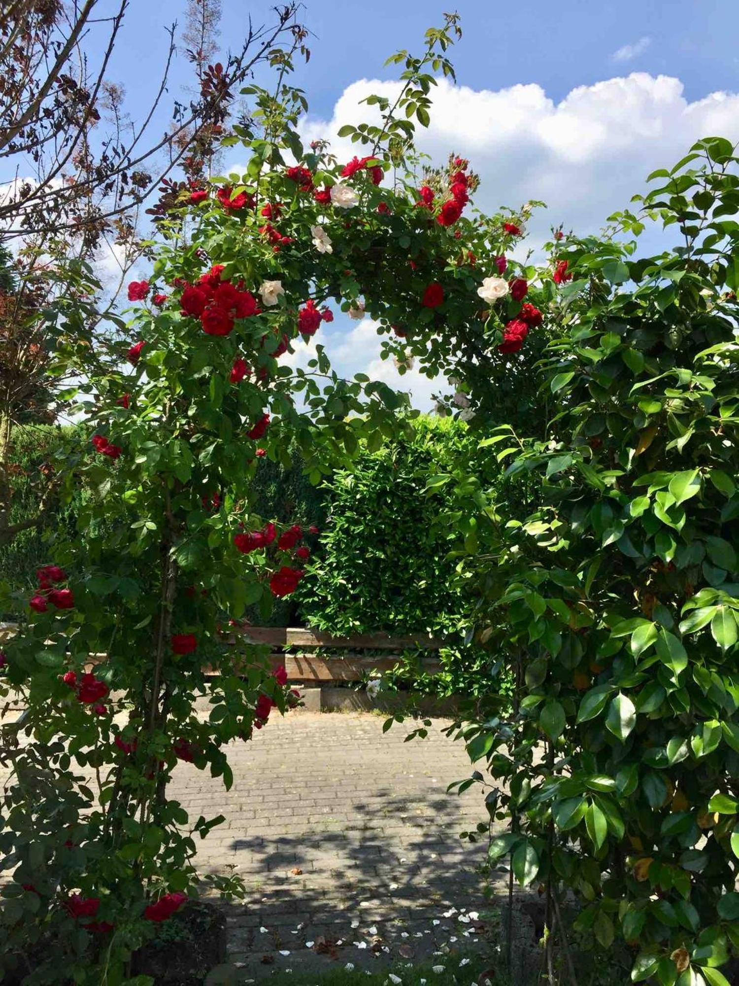 Ferienhaus Windmuehlenweg Mit Garten Apartment Spenge Bagian luar foto